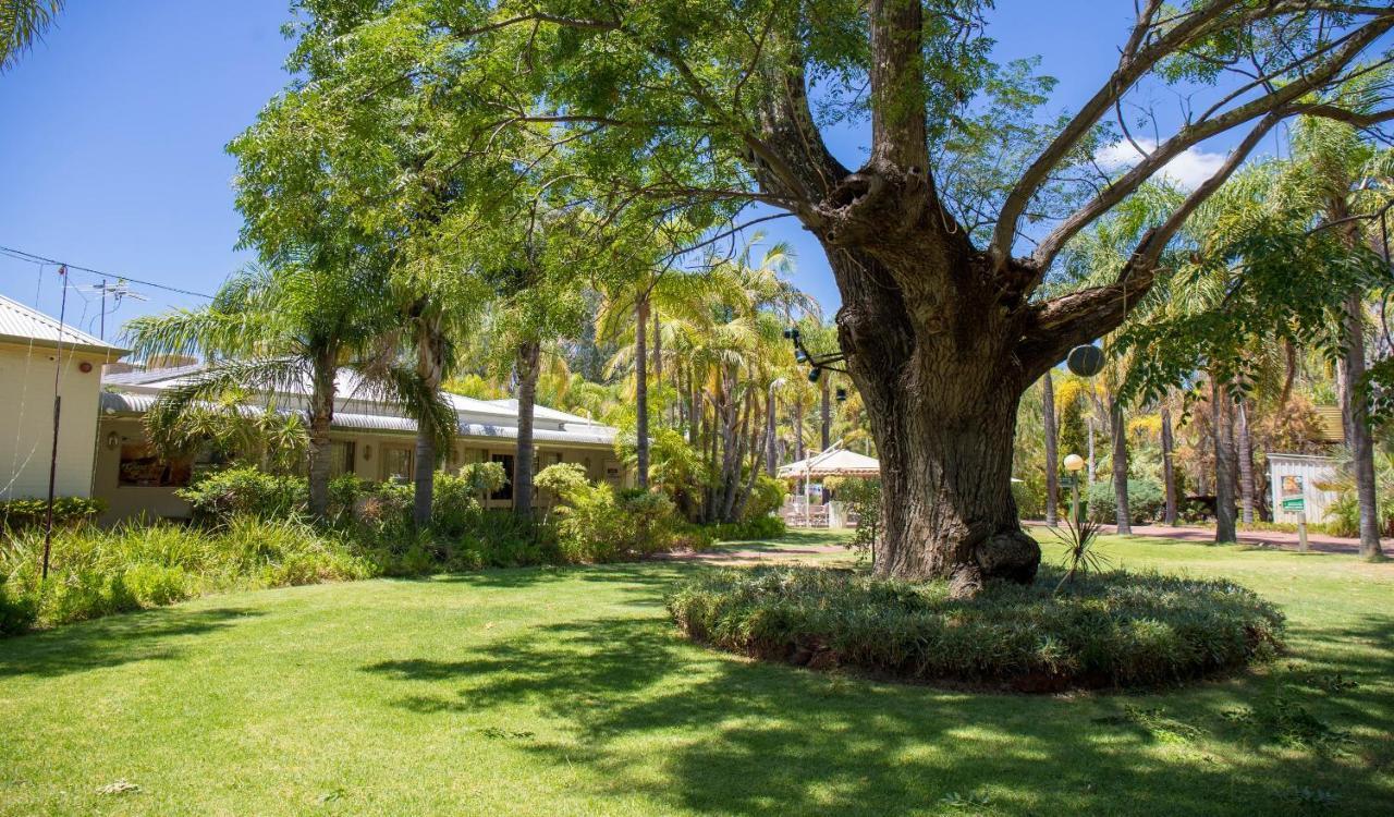 Swan Valley Oasis Resort Henley Brook Exterior photo